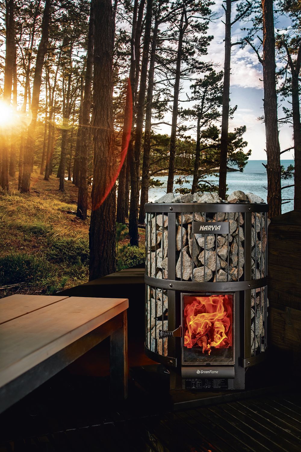 Wood burning heater Harvia Legend 240 GreenFlame black